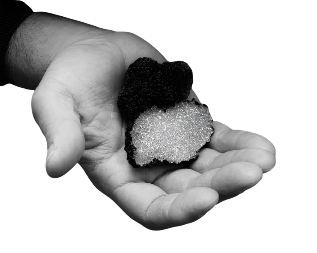 Box Gourmet di Lusso - tartufo