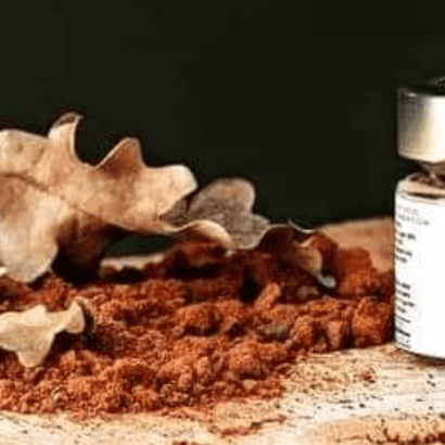 Crema di porcini e tartufo bianco