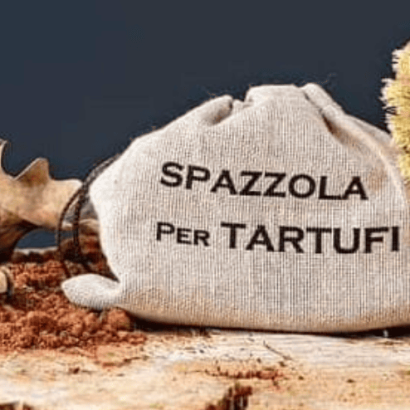 Spazzola pulisci tartufo in setole vegetali e legno di faggio